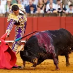 Corrida de toros en malaga