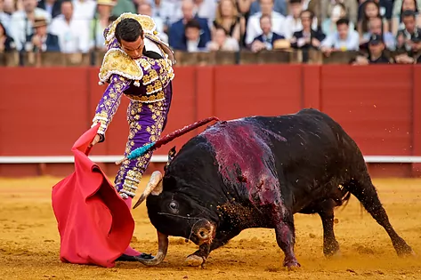 Bullfight in Malaga