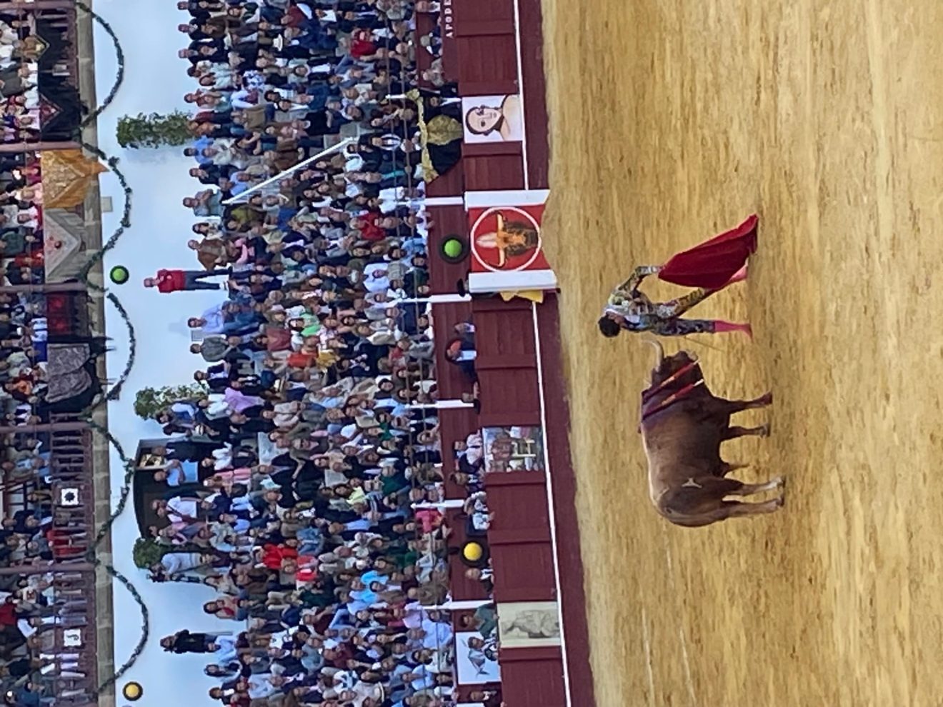 Malaga Bullfighting Tickets Official Malagueta Bullring Website