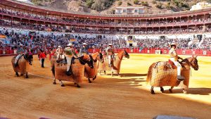 Corrida Picassiana 2026 in Malaga